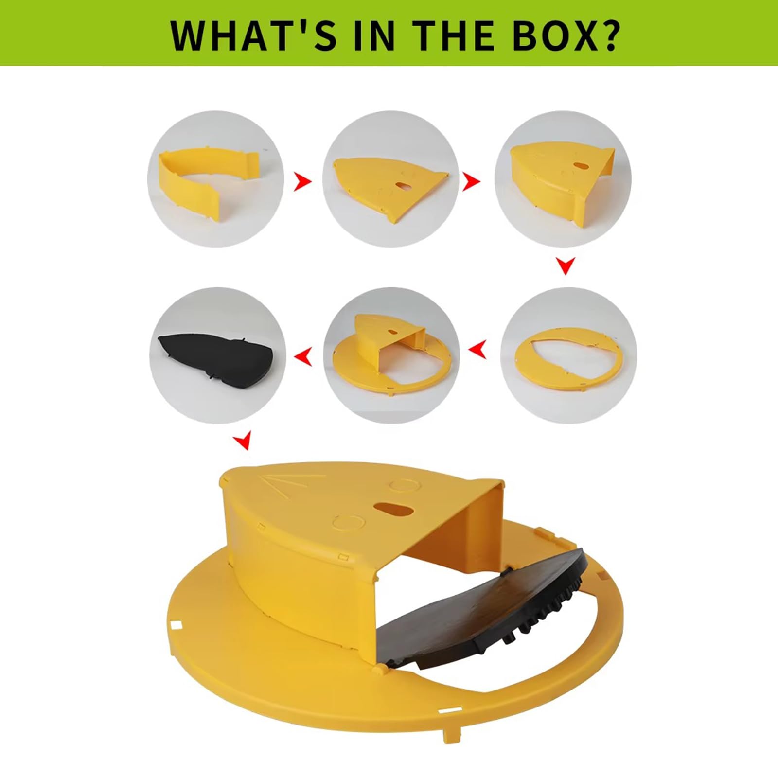 SWUTHY multi-catch design handles multiple mice with a single station.