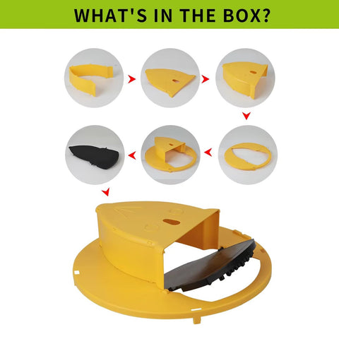 SWUTHY multi-catch design handles multiple mice with a single station.