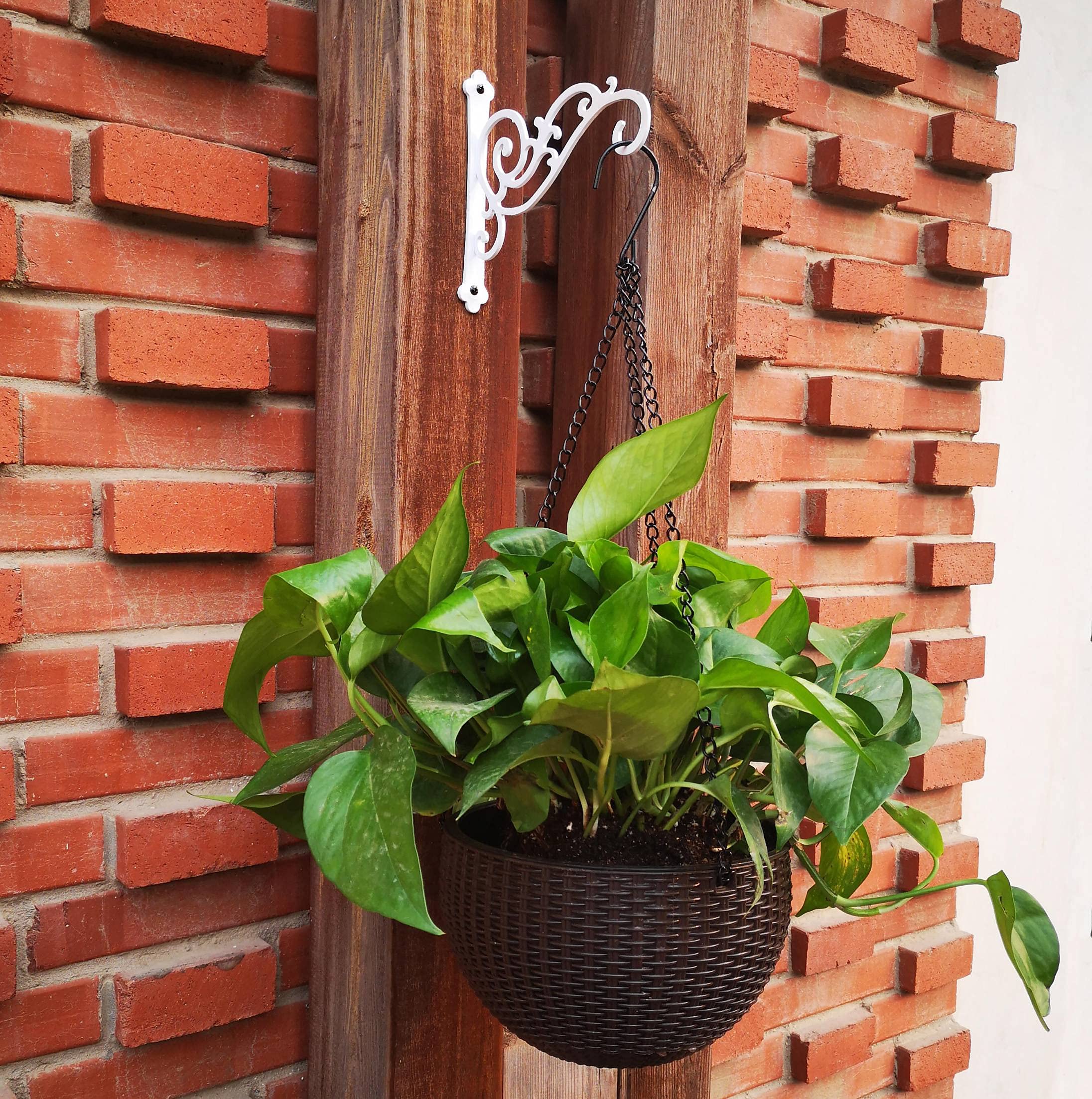 SXATOLS scroll-work design white finish adds elegant garden or indoor appeal