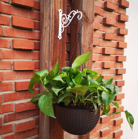 SXATOLS scroll-work design white finish adds elegant garden or indoor appeal