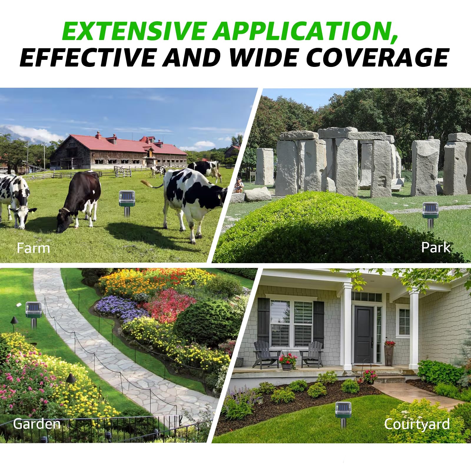 Sxaze Rat Deterrent Ultrasonic keeps pathways clear of burrowing activity.