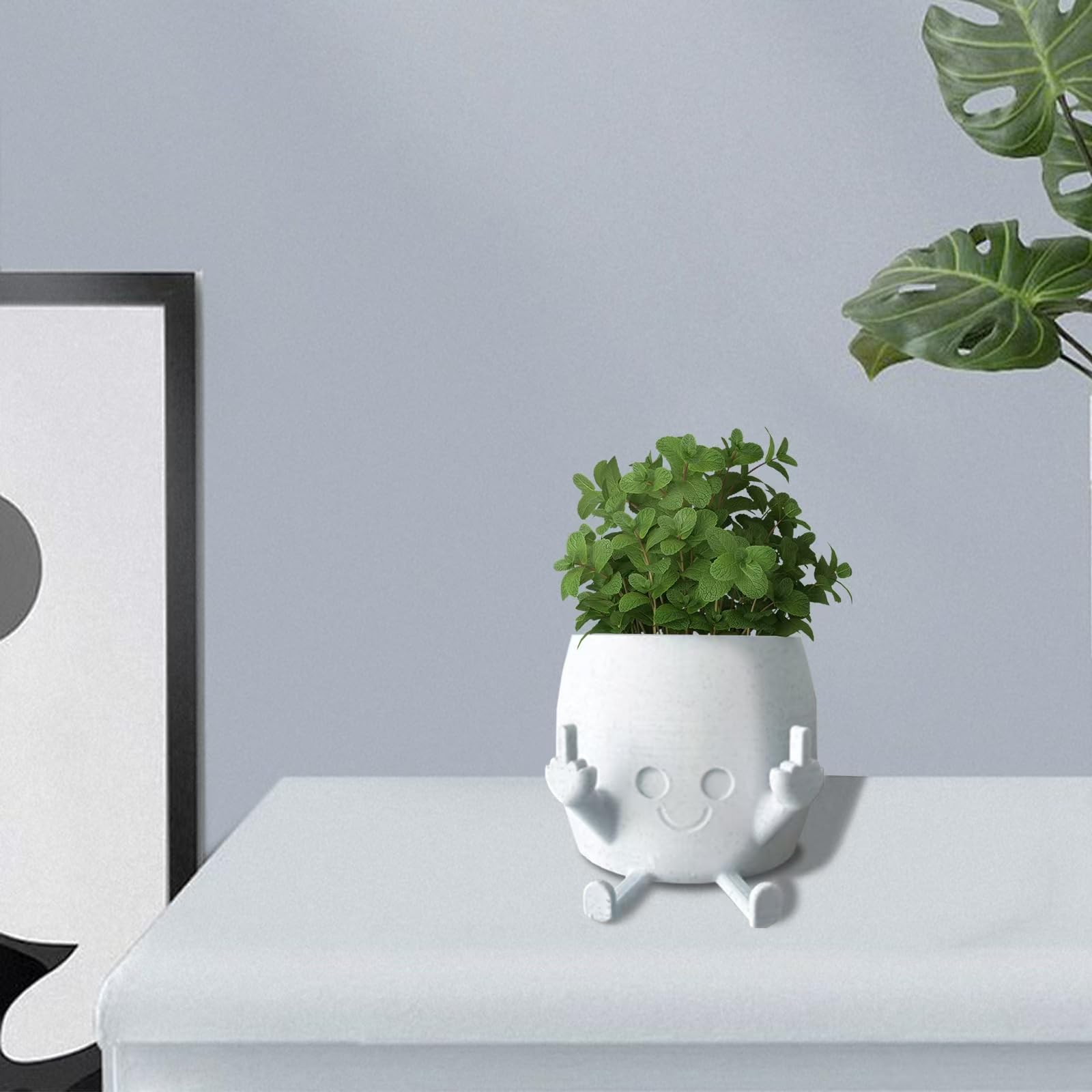 sxidpda quirky flower pot makes a memorable plant lover gift.