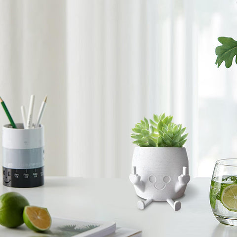 sxidpda resin plant pot with funny expression suits succulents beautifully.