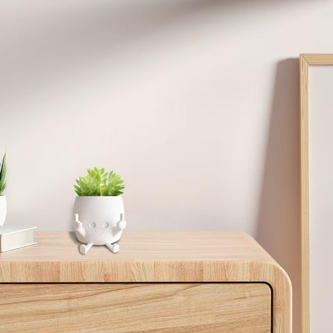 sxidpda succulent planter for indoor or outdoor spaces.