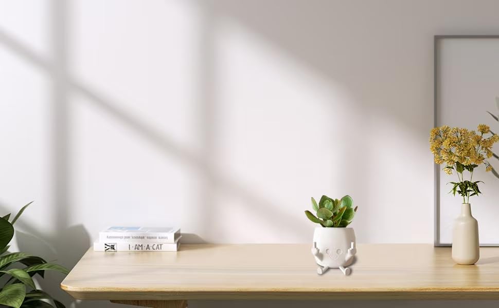 sxidpda unique figure planter to spark conversations in any room.