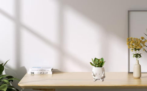 sxidpda unique figure planter to spark conversations in any room.