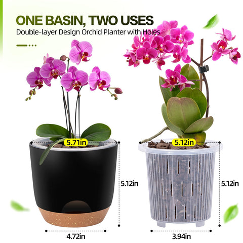 Sxueg elevated design prevents waterlogging and promotes steady growth