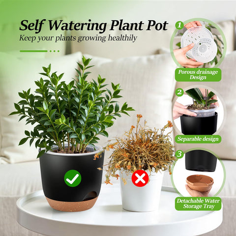 Sxueg orchid pot with removable saucer for easy water management