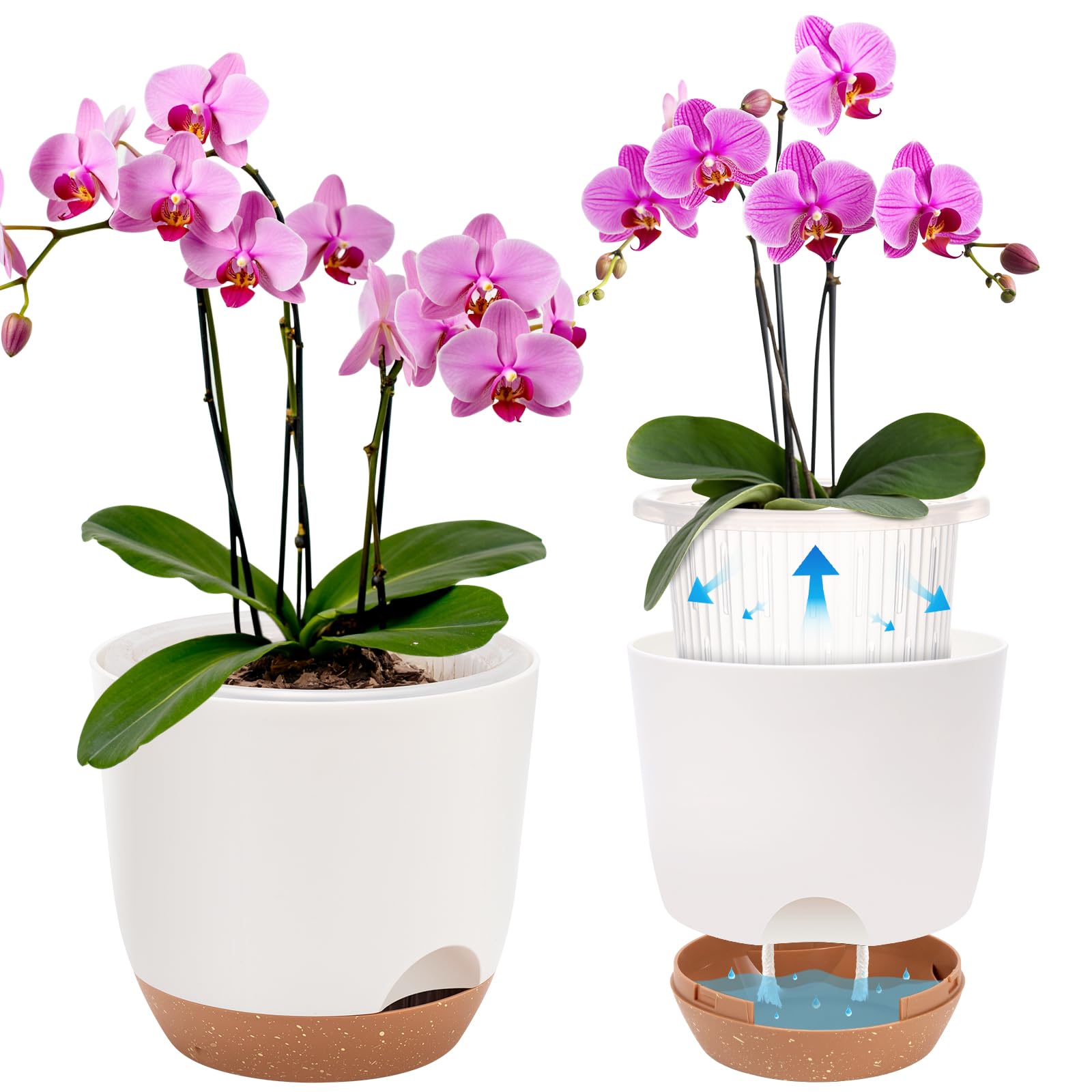 Sxueg 5.8-inch self-watering orchid pot with moisture control for indoor plants.