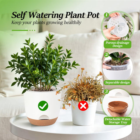 Sxueg 7-inch self-watering orchid pot maintains consistent moisture for thriving orchids.