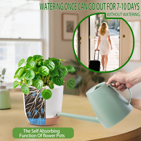 Sxueg side ventilation holes support better airflow to roots.