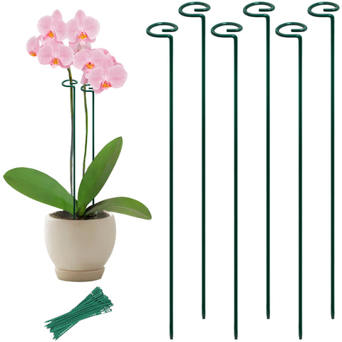 SYITCUN 36-inch plant stake with six-pack supports tall blooms in flower beds.