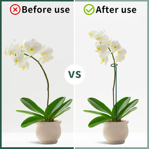 SYITCUN green rust-proof coating blends with foliage while resisting weather.