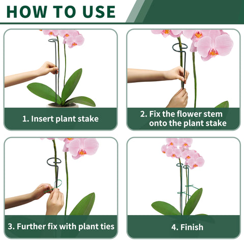 SYITCUN plant stake with ring cradles stems to prevent droop.