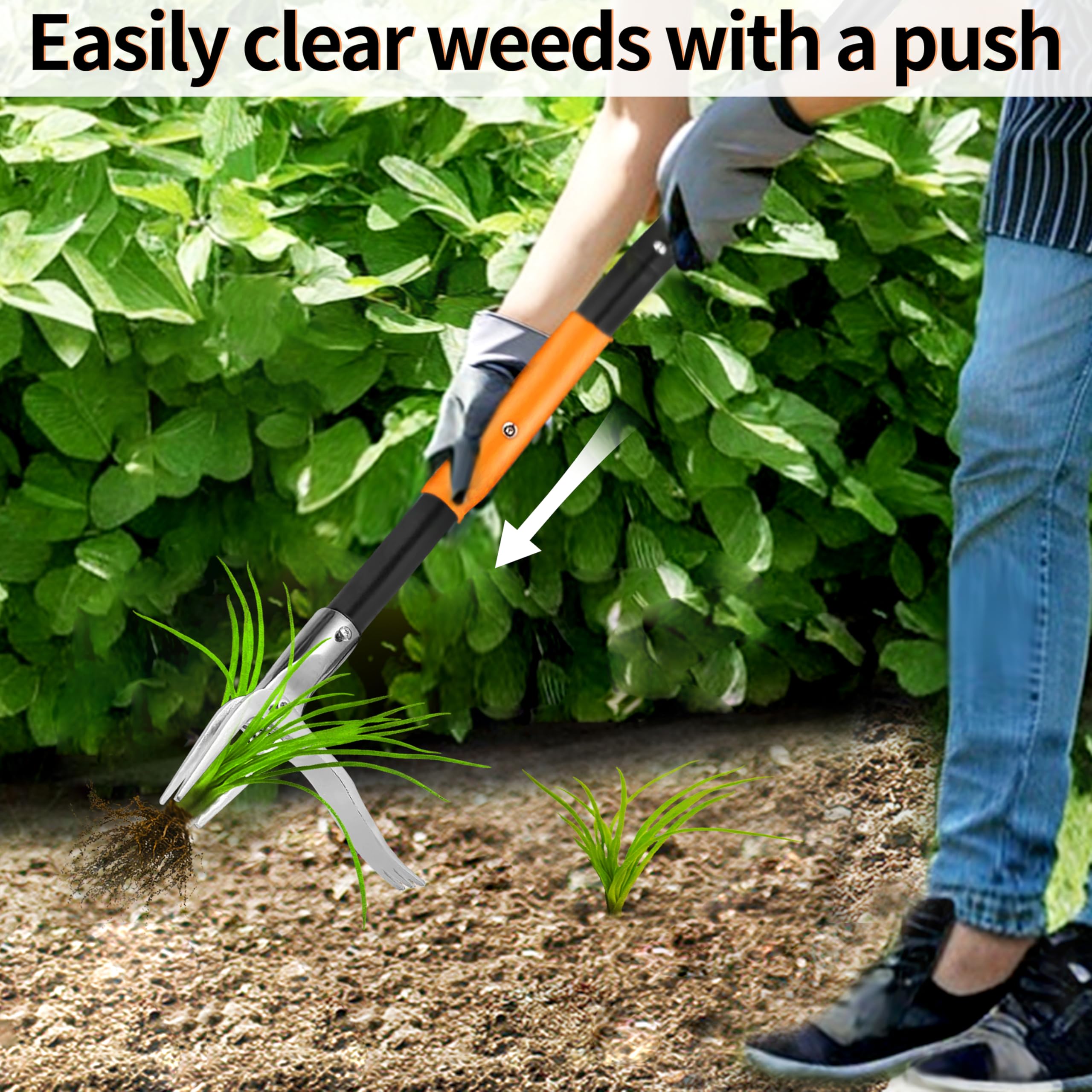 SYITCUN ideal for dandelions and crabgrass in beds and lawns.