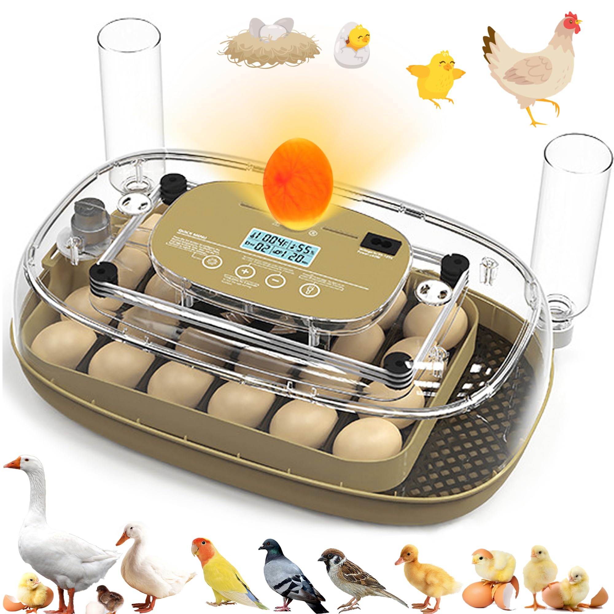 syluris incubator with 24-egg capacity for versatile poultry hatching at home.