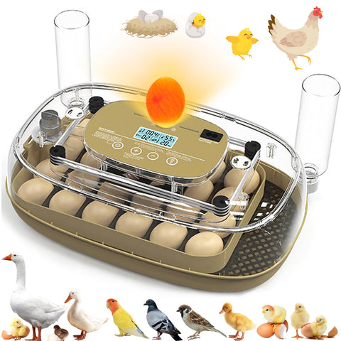 syluris incubator with 24-egg capacity for versatile poultry hatching at home.
