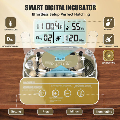 syluris 360-degree view lid enables easy monitoring throughout incubation stages.