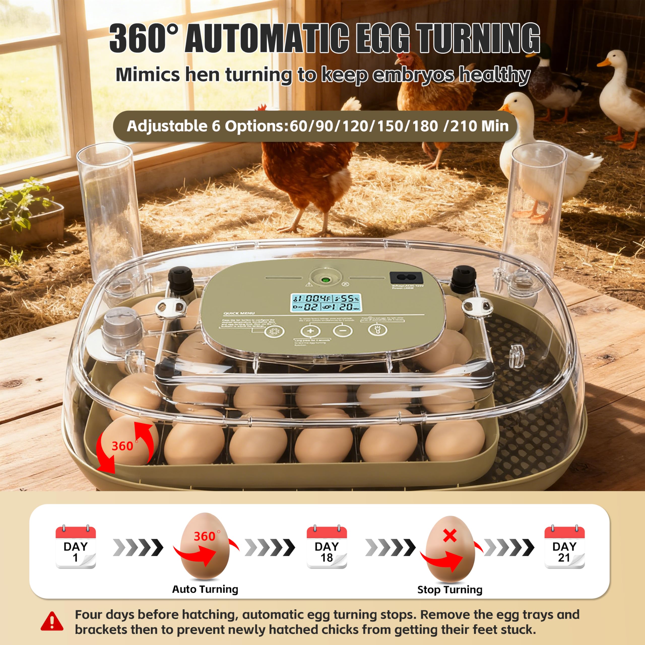 syluris adjustable dividers enable flexible layouts for different egg sizes.