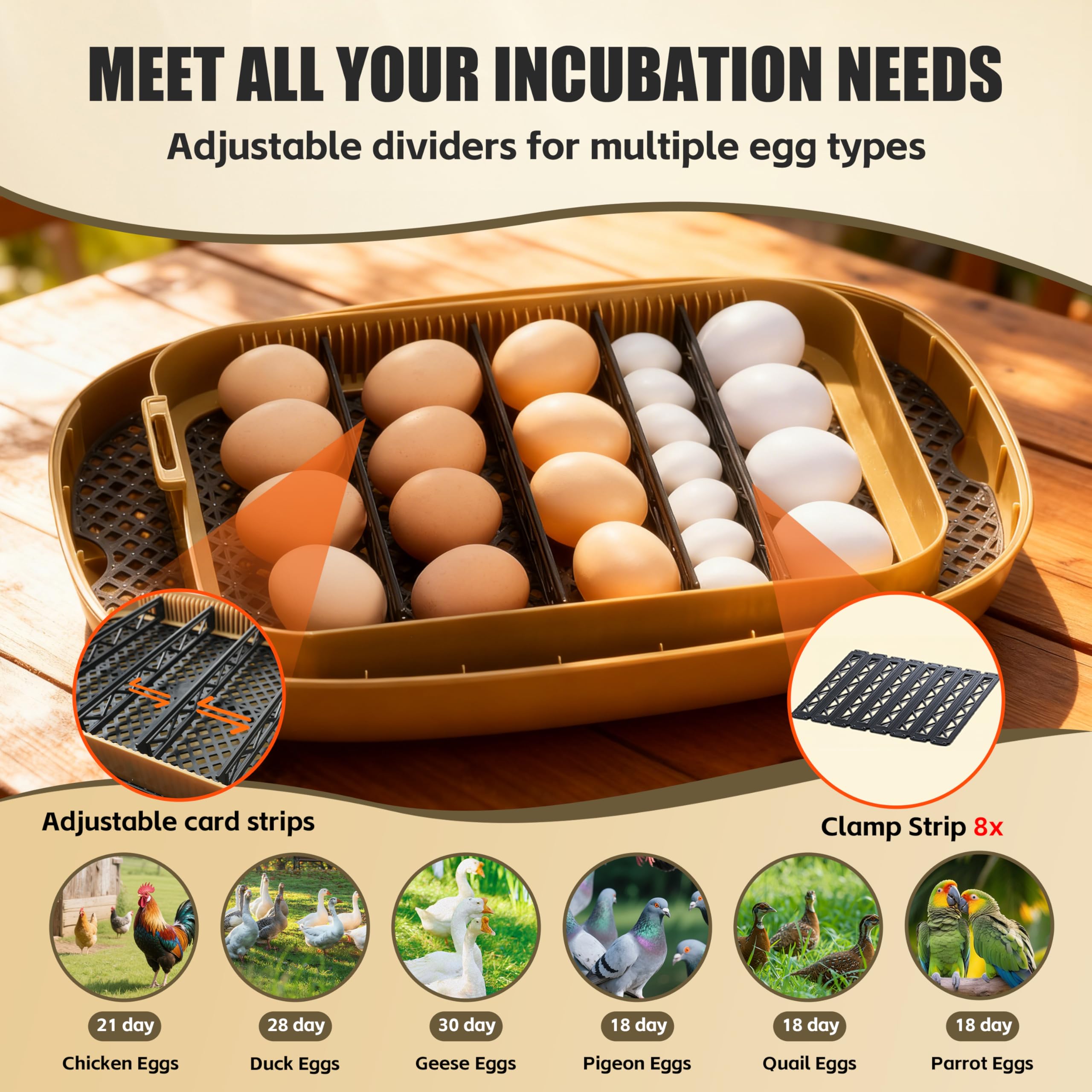 syluris humidity control system maintains stable conditions for better hatch readiness.