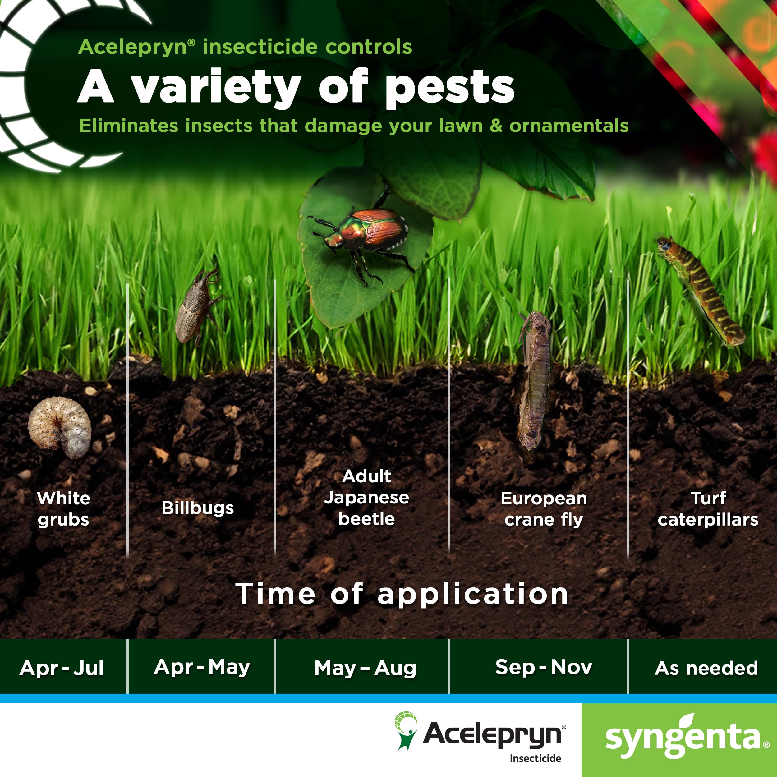 Syngenta Acelepryn SC bottle pour for measured dosing and ease of use.