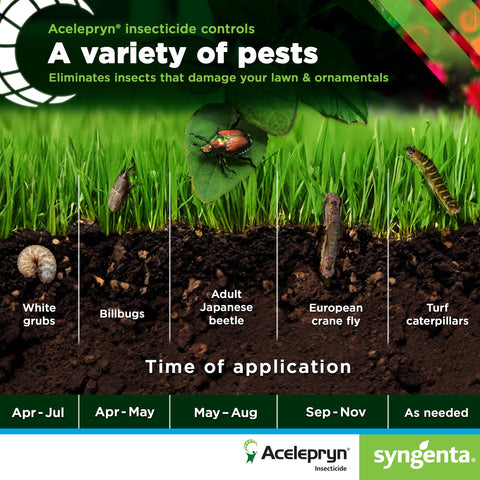 Syngenta Acelepryn SC bottle pour for measured dosing and ease of use.