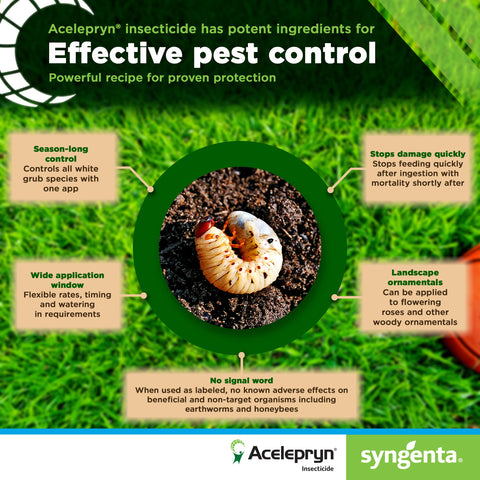 Syngenta Acelepryn SC label closeup with usage directions.