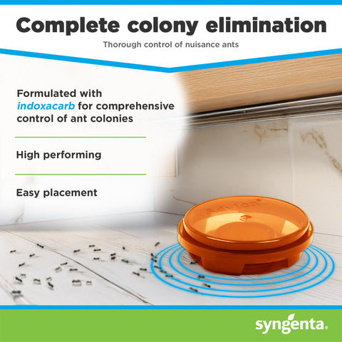 Syngenta Advion Ant Bait Arena disk closeup highlighting bait integrity
