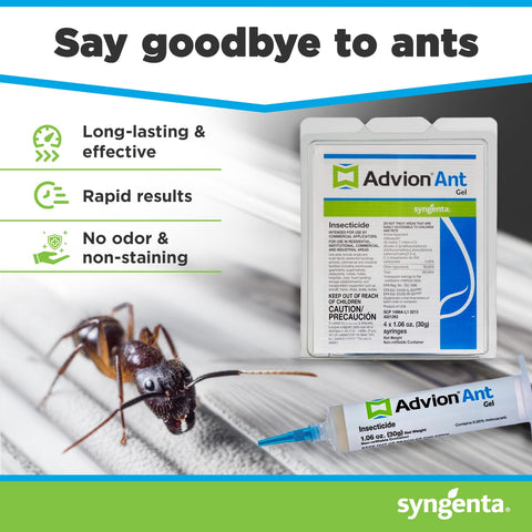 Syngenta Advion ant gel being applied to a surface for precise control.