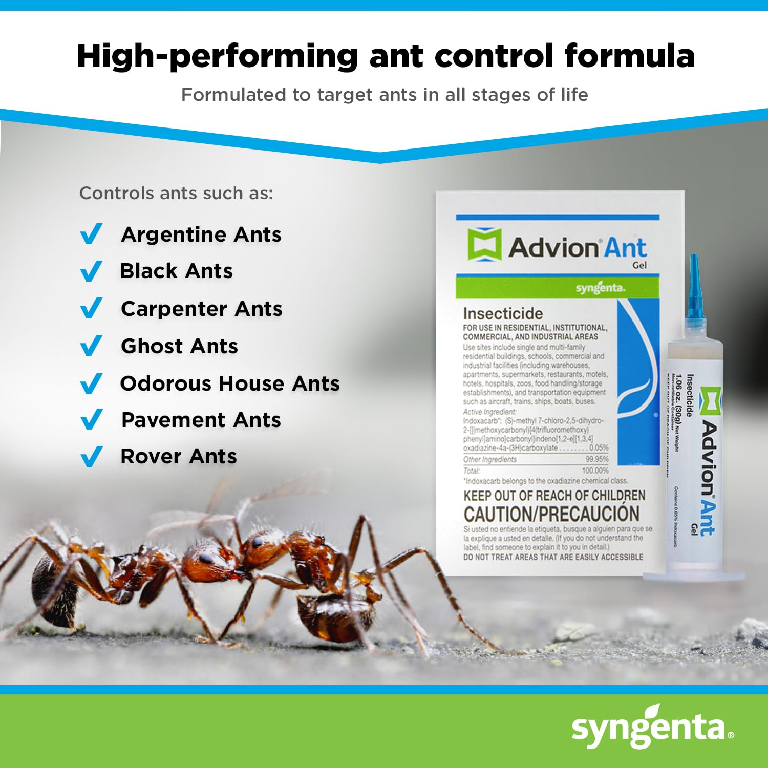 Syngenta Advion Ant Gel Lure tube in use near a kitchen counter
