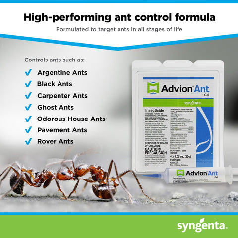 Packaging of Syngenta Advion ant gel shows 30 g syringes for easy use.