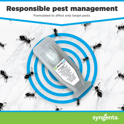 Syngenta Advion Ant Gel Station multi-pack boxes for households