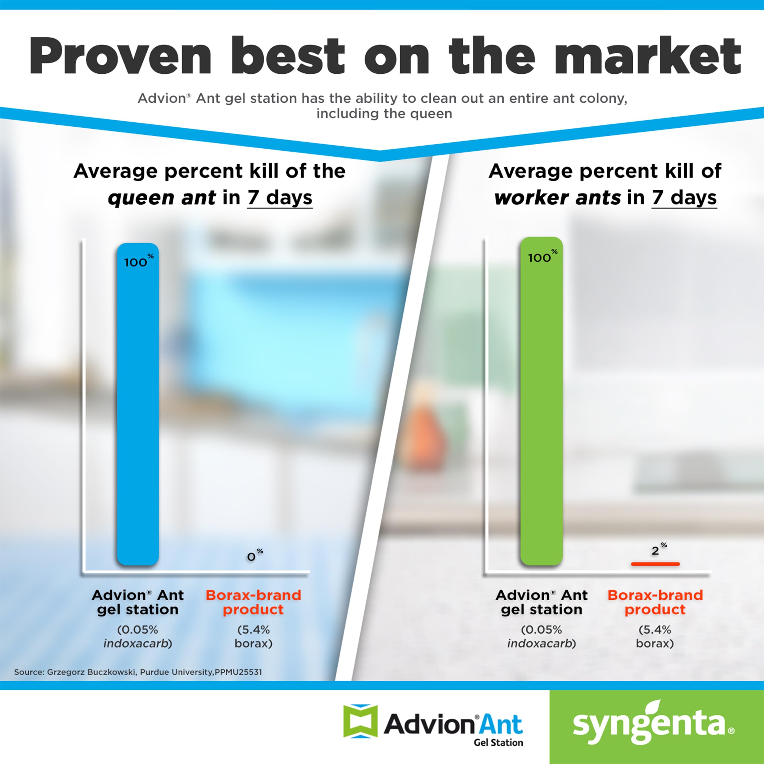 Syngenta Advion Ant Gel Station pet-safe when used as directed