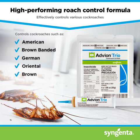 Syngenta Advion Trio gel bait in cracks and crevices reduces infestations.
