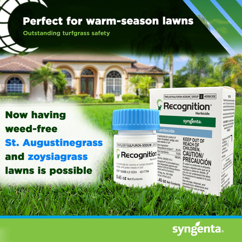Lawn before and after using Syngenta Recognition for weed reduction.