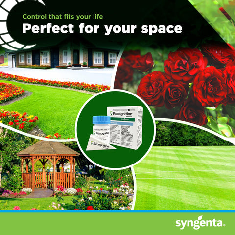 Effective post-emergent weed control in turf with Syngenta Recognition.