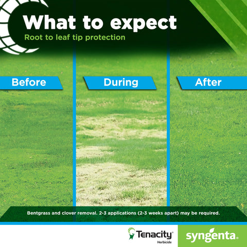 Syngenta Tenacity bare-ground-seeding image illustrates seeding compatibility.