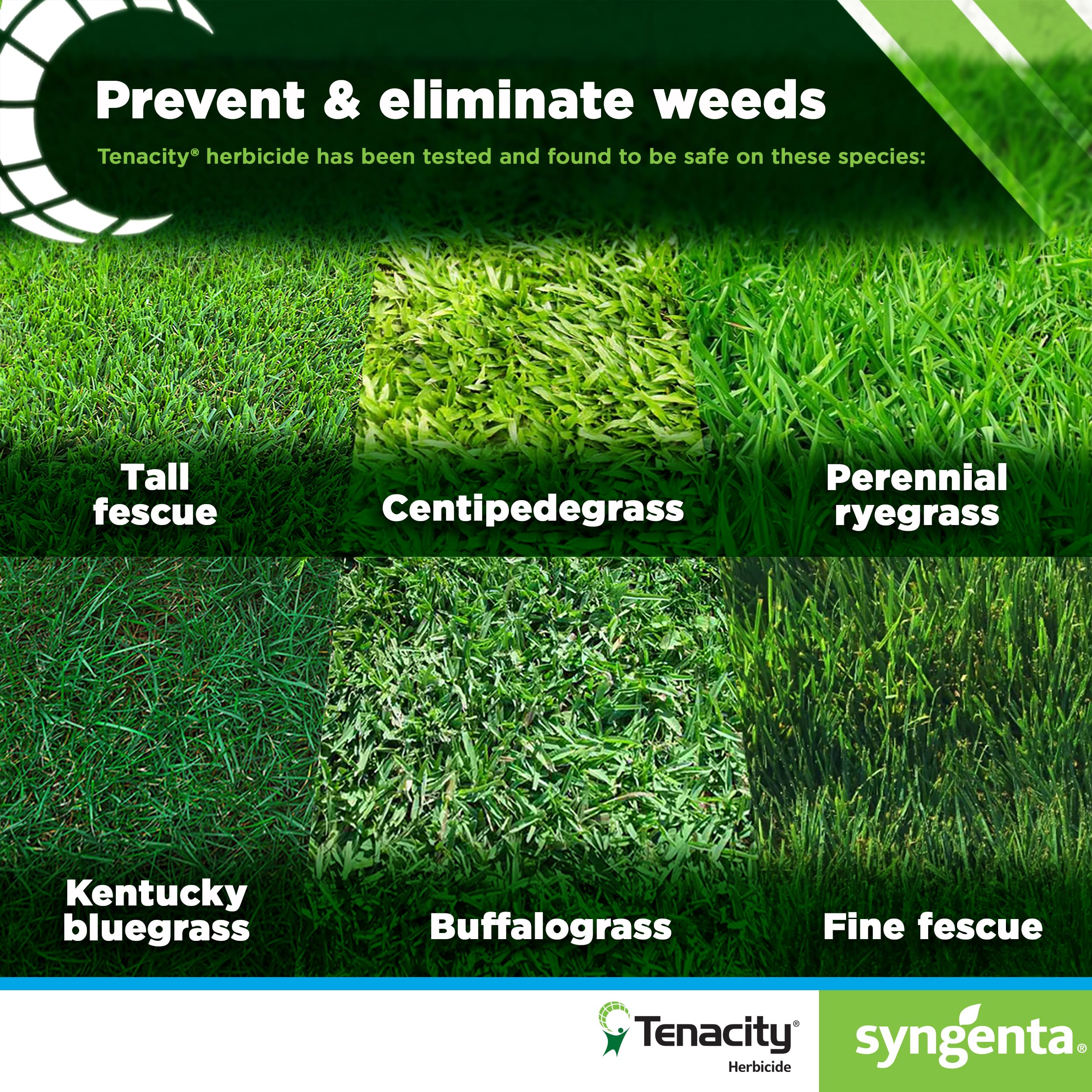 Syngenta Tenacity Turf packaging variation shows the 8-ounce bottle option.