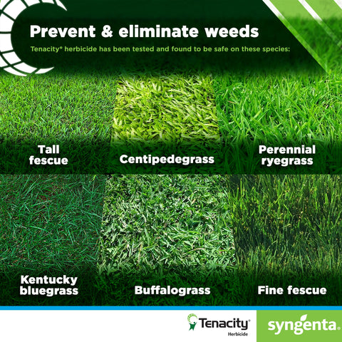 Syngenta Tenacity Turf packaging variation shows the 8-ounce bottle option.