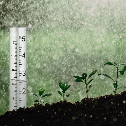 SynHHnergyx transparent rain gauge tube provides clear readings for garden monitoring.