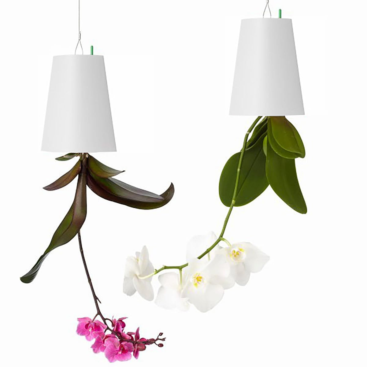 SYOOY 2pcs upside-down planter hanging on wall, space-saving balcony display.