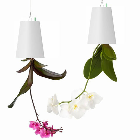 SYOOY 2pcs upside-down planter hanging on wall, space-saving balcony display.