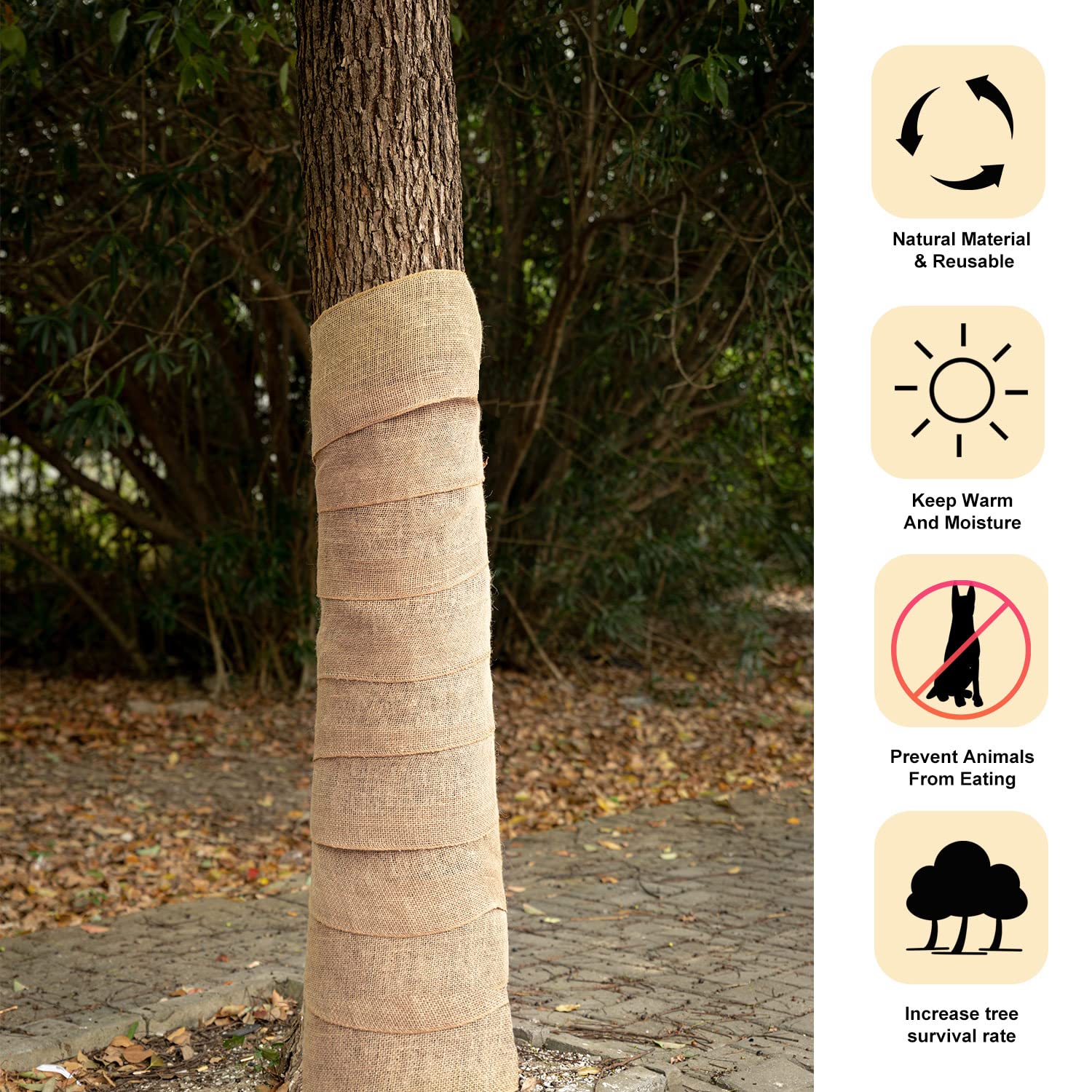  Four-pack burlap wraps laid out for multi-tree protection