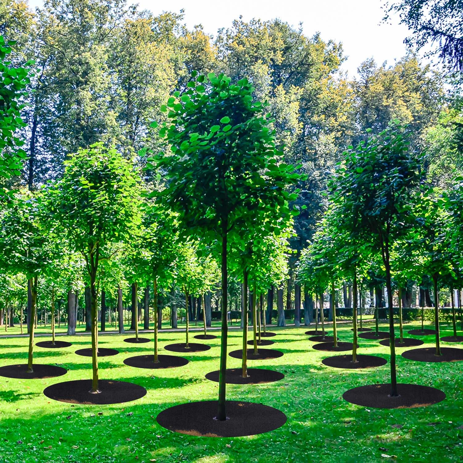 SYWHXY breathable material cushions soil and promotes healthy roots.
