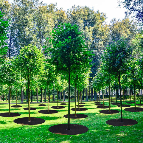 SYWHXY breathable material cushions soil and promotes healthy roots.