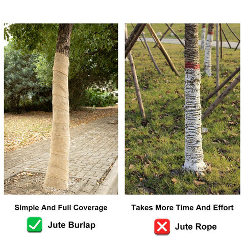 Burlap wrap showing humidity resistance around a trunk
