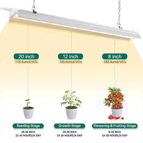 SZHLUX lights linked in series cover wider grow areas for larger setups.
