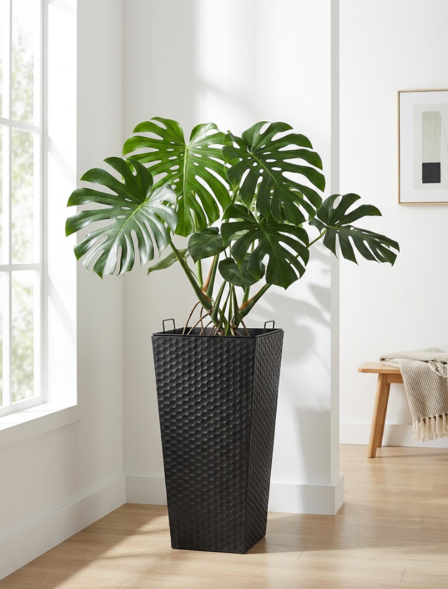 Sziqiqi Tall Planter on porch steps provides balanced curb appeal.