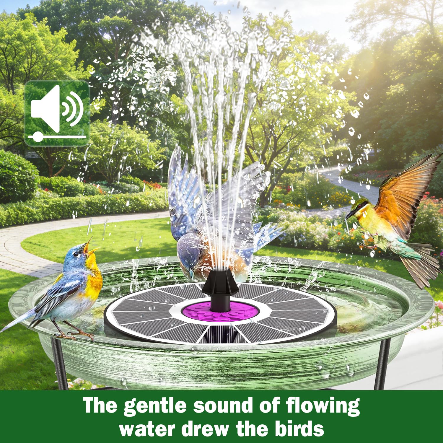 SZMP hummingbird-attracting water feature enhancing yard ambiance