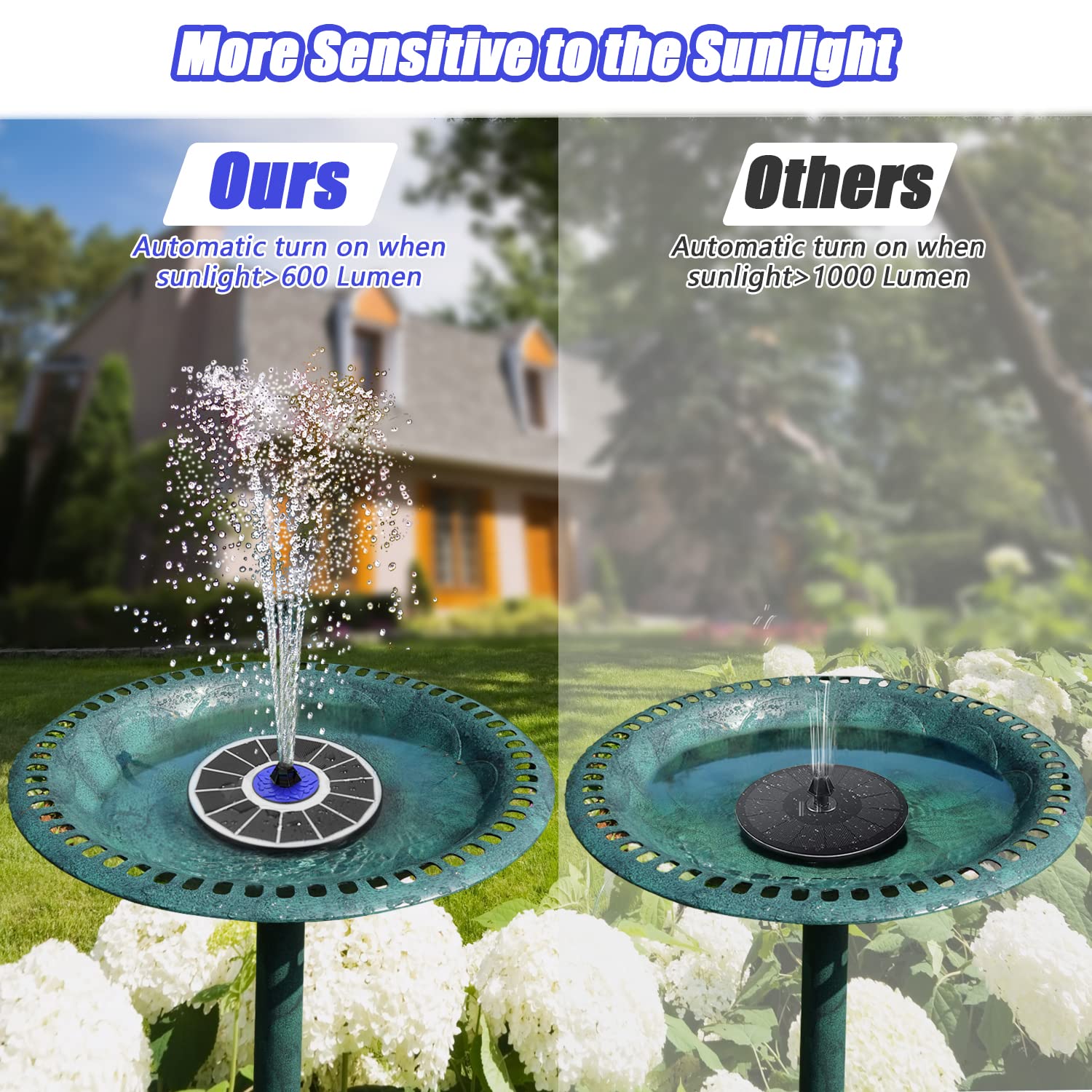 SZMP solar fountain attracts birds for refreshing drink